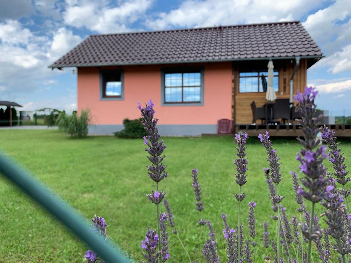 Willa Różowy Domek Rakowice Male Zewnętrze zdjęcie